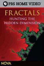 Watch NOVA - Fractals Hunting the Hidden Dimension Letmewatchthis