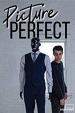 Watch Picture Perfect Letmewatchthis