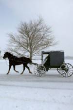 Watch Leaving Amish Paradise Letmewatchthis