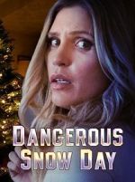 Watch Dangerous Snow Day Letmewatchthis