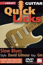 Watch Lick Library Quick Licks David Gilmour Letmewatchthis