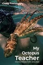 Watch My Octopus Teacher Letmewatchthis