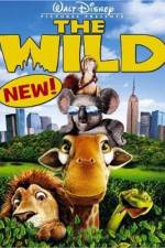 Watch The Wild Letmewatchthis
