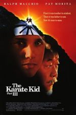 Watch The Karate Kid Part III Letmewatchthis