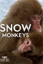 Watch Nature: Snow Monkeys Letmewatchthis