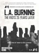 Watch L.A. Burning: The Riots 25 Years Later Letmewatchthis