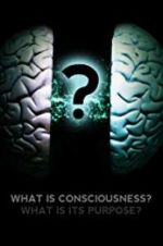 Watch What Is Consciousness? What Is Its Purpose? Letmewatchthis