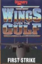 Watch Wings Over the Gulf Vol  1  First Strike Letmewatchthis