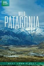 Watch Wild Patagonia Letmewatchthis