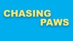 Watch Chasing Paws (Short 2020) Letmewatchthis