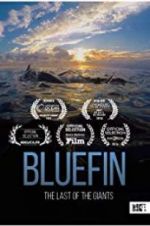 Watch Bluefin Letmewatchthis
