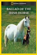 Watch Ballad of the Irish Horse Letmewatchthis