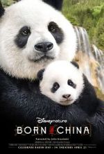 Watch Born in China Letmewatchthis