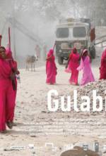 Watch Gulabi Gang Letmewatchthis