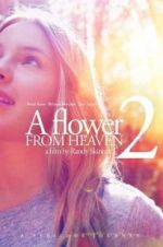 Watch A Flower From Heaven 2 Letmewatchthis