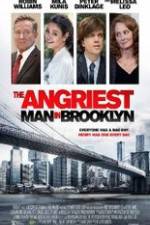 Watch The Angriest Man in Brooklyn Letmewatchthis