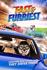 Watch Fast and Furriest Letmewatchthis