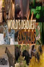 Watch National Geographic - Worlds Deadliest Animal Battles Letmewatchthis