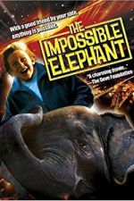 Watch The Incredible Elephant Letmewatchthis