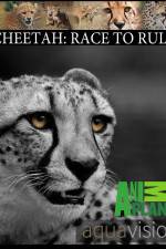 Watch Cheetah: Race to Rule Letmewatchthis
