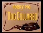 Watch Dog Collared (Short 1950) Letmewatchthis
