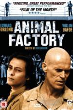Watch Animal Factory Letmewatchthis
