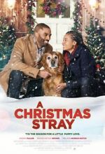 Watch A Christmas Stray Letmewatchthis