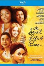 Watch The Secret Life of Bees Letmewatchthis