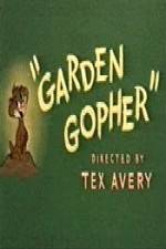 Watch Garden Gopher Letmewatchthis