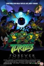 Watch Teenage Mutant Ninja Turtles Turtles Forever Letmewatchthis