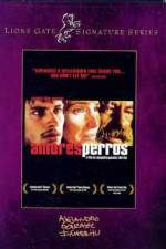 Watch Amores perros Letmewatchthis