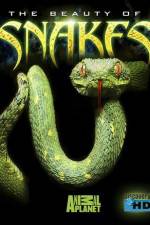 Watch The Beauty of Snakes Letmewatchthis
