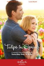 Watch Tulips in Spring Letmewatchthis