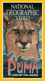 Watch Puma: Lion of the Andes Letmewatchthis