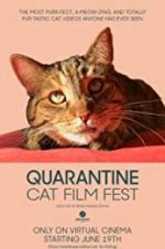 Watch Quarantine Cat Film Fest Letmewatchthis