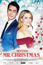 Watch Meeting Mr. Christmas Letmewatchthis
