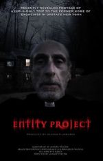 Watch Entity Project Letmewatchthis