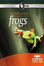 Watch Nature: Fabulous Frogs Letmewatchthis