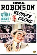 Watch Brother Orchid Letmewatchthis