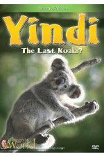 Watch Yindi the Last Koala Letmewatchthis