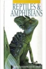 Watch Reptiles and Amphibians Letmewatchthis
