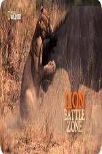 Watch National Geographic Wild Lion Battle Zone Letmewatchthis