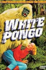 Watch White Pongo Letmewatchthis