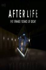 Watch After Life: The strange Science Of Decay Letmewatchthis