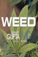 Watch CNN Weed Sanjay Gupta Report Letmewatchthis
