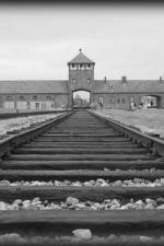 Watch AUSCHWITZ: ORDERS AND INITIATIVES Letmewatchthis
