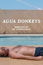 Watch Agua Donkeys Letmewatchthis