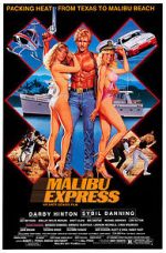 Watch Malibu Express Online Letmewatchthis