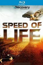 Watch Speed of Life Letmewatchthis