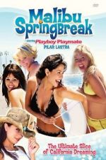 Watch Malibu Spring Break Letmewatchthis